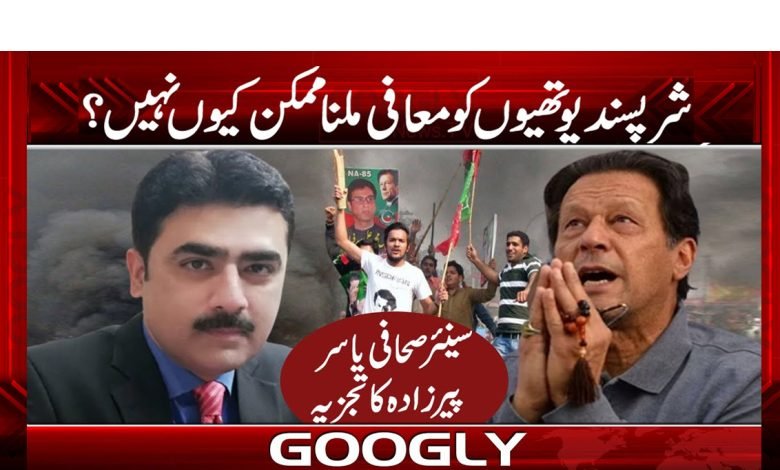 Yasir Pirzada New Statement News Urdu
