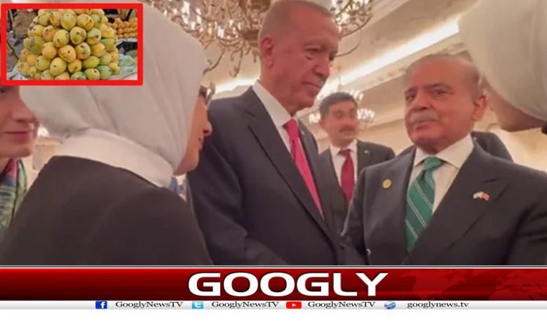 ترک صدر،شہباز شریف ملاقات میں پاکستانی آموں کا ذائقہ محور گفتگو 1 Shehbaz Sharif News in Urdu