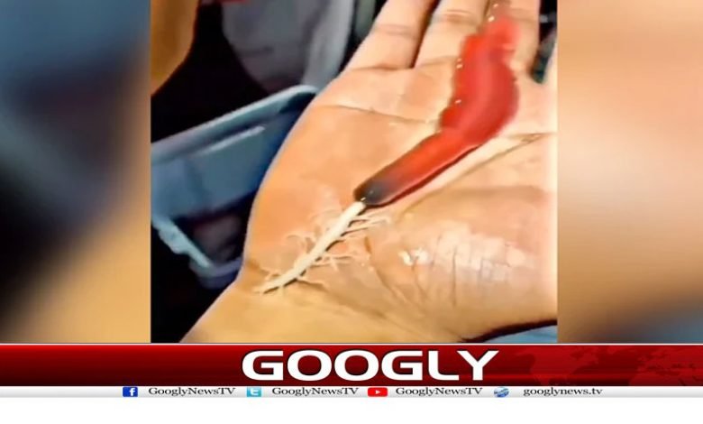 Sri Lankan Doctor Latest News in Urdu