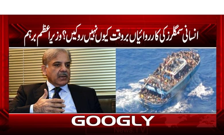 انسانی اسمگلروں کی کارروائیاں بروقت کیوں نہیں روکیں؟وزیراعظم برہم 1 Human Traffickers News Urdu