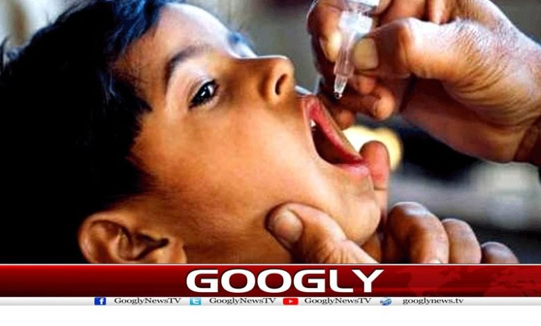 پولیو کے قطرے اور شربت تلقین شاہ 1 Polio Drops News in Urdu
