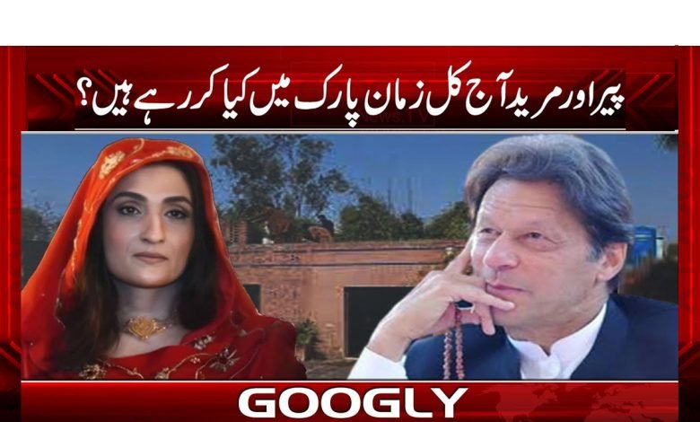 Zaman Park Latest News in Urdu