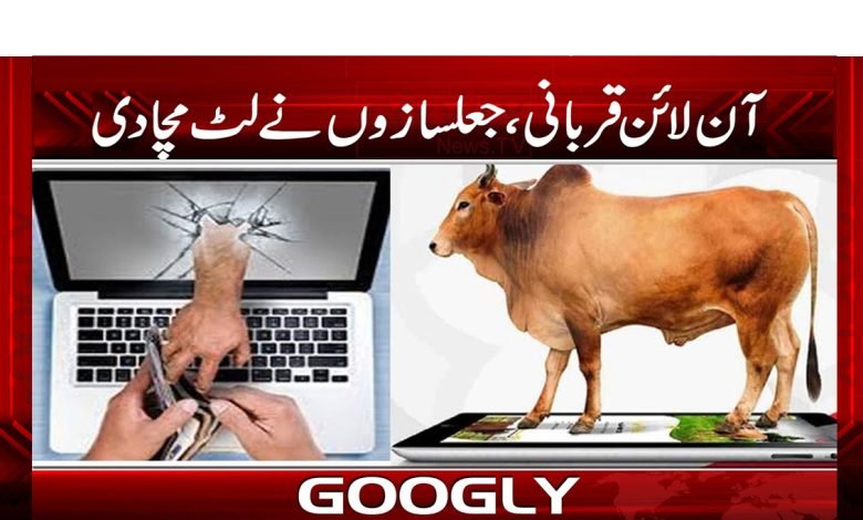 Sacrificial Animal Forgeries on The Rise