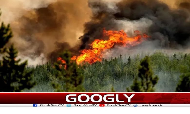 Canada Fire