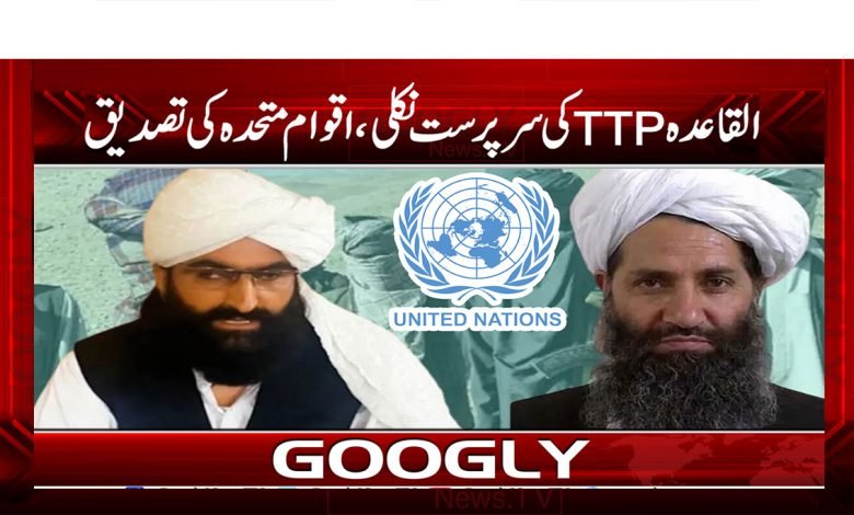 Al-Qaeda TTP News in Urdu