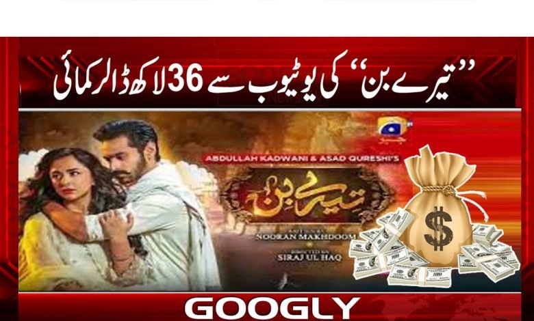 ’’تیرے بن ‘‘ کی یوٹیوب سے 36 لاکھ ڈالر کمائی 1 Tere Bin