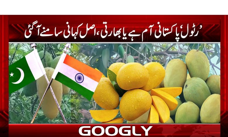 Ratol Pakistani or Indian Mango News