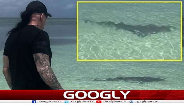 Famous Undertaker Sharks News Urdu