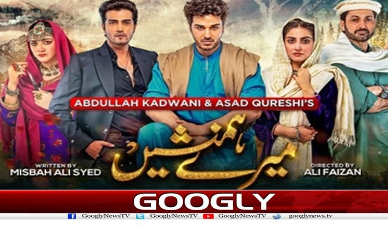 ڈرامہ ’میرے ہم نشیں ‘ ترکی زبان میں نشر ہوگا 1 Drama Mere Hum Nishin News