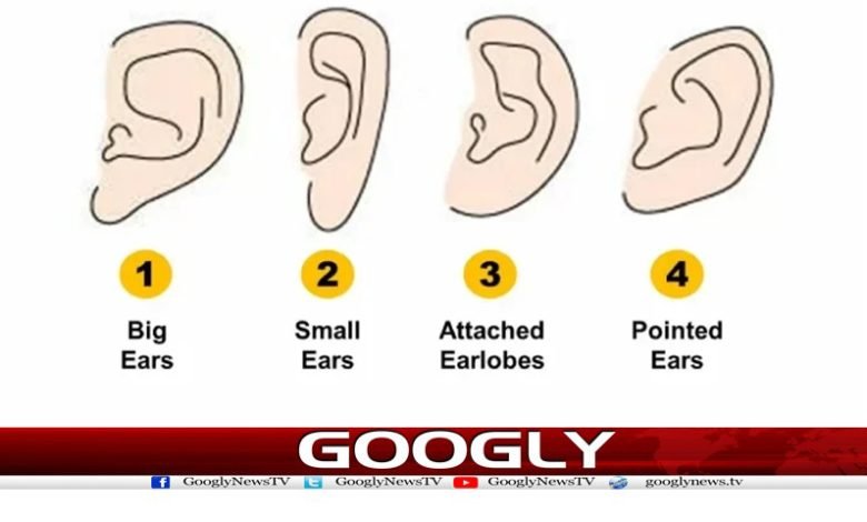 کان کی بناوٹ آپ کے بارے میں کیا بتاتی ہے؟ 1 Ear Shape Say About You News Urdu