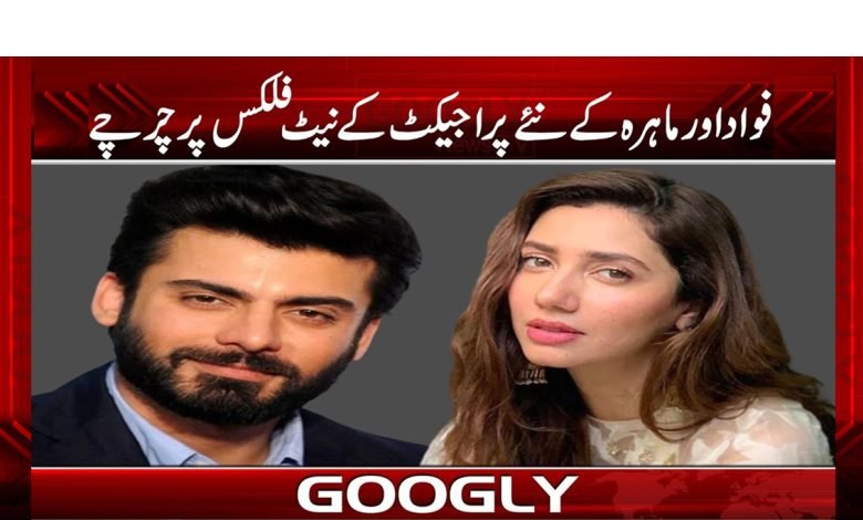’’پاکستانی پراجیکٹ کی نیٹ فلکس پر دستک‘‘ 1 Pakistani Project Knocks on Netflix