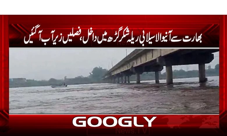 بھارت سےآنیوالاسیلابی ریلہ شکرگڑھ میں داخل، فصلیں زیرآب آگئیں 1 India Entered Rela Shakargarh News