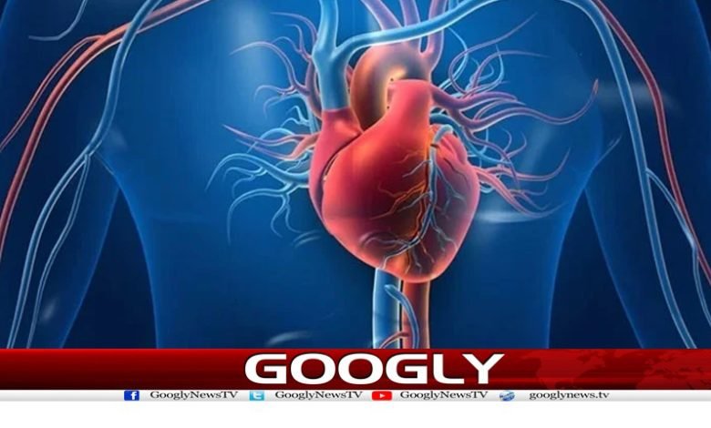 Heart Disease News in Urdu