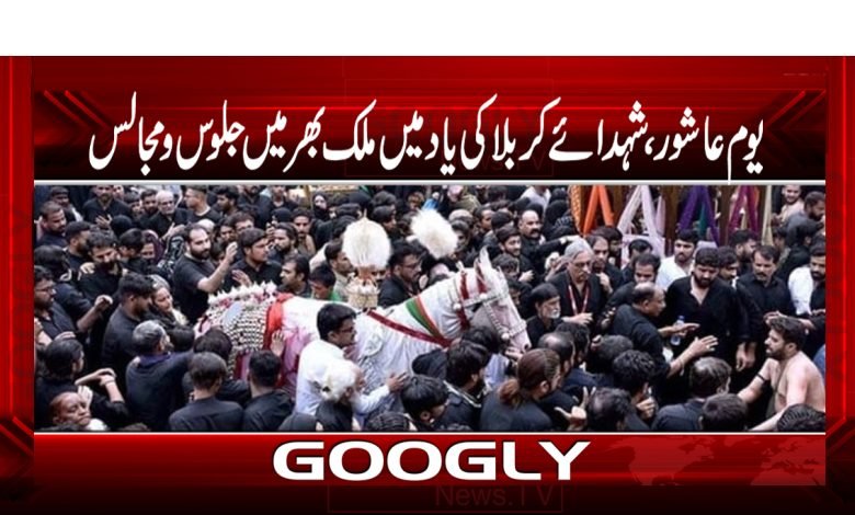 jaloos