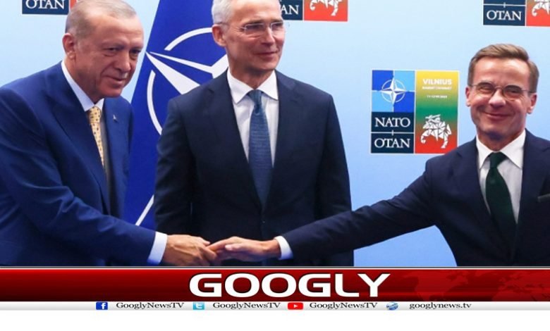 ترکی نے نیٹو میں سویڈن کی شمولیت پر رضامندی ظاہر کردی 1 Turkey Agreed Join sweden Nato News