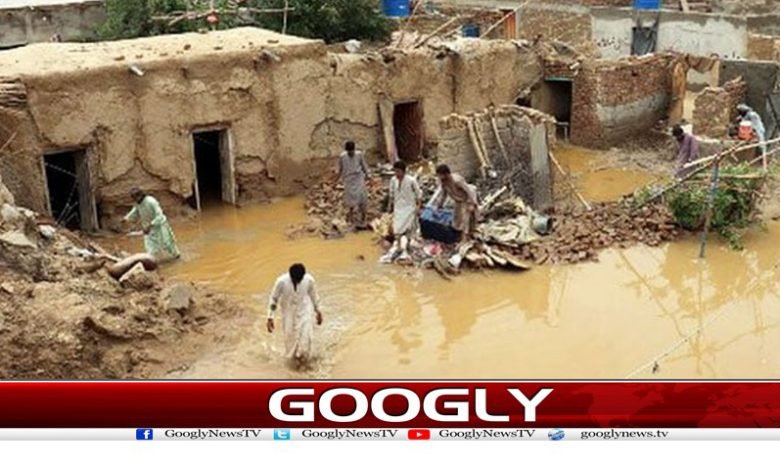 Pakistan Rain Due Died People News