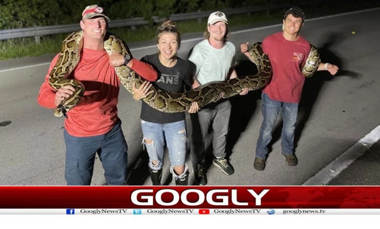 Snake Long Giraffe on US News