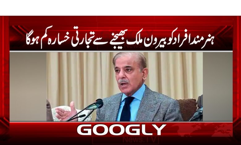 ہنرمند افراد کو بیرون ملک بھیجنے سے تجارتی خسارہ کم ہوگا 1 shnaz