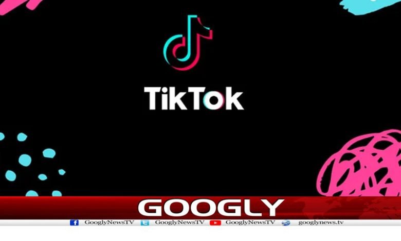 1 Crore TikTok Videos Deleted on Pakistan