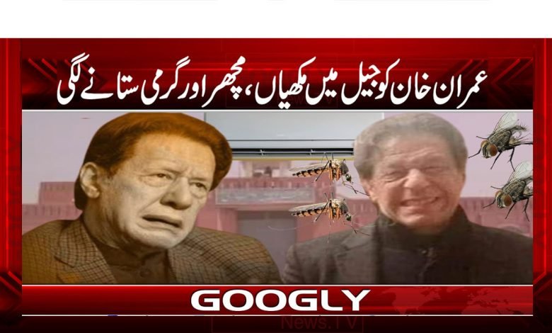Imran Khan Was Mosquitoes and Heat in Jail