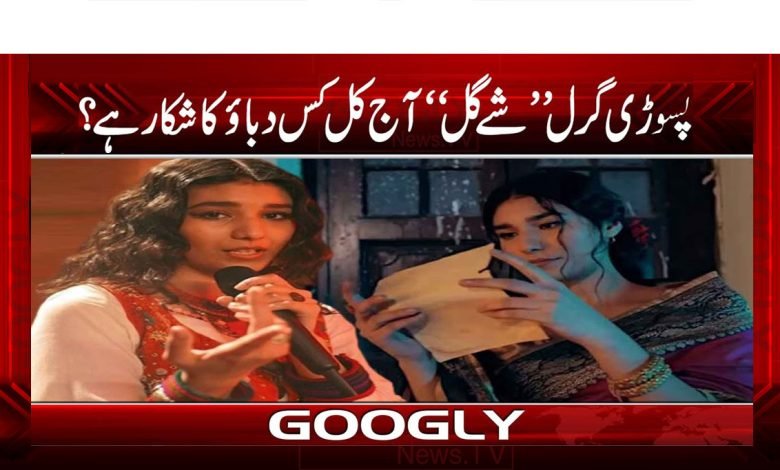 Psoori Girl Shay Gill News Urdu