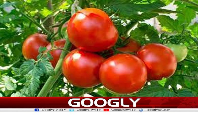 Health Latest News in Urdu