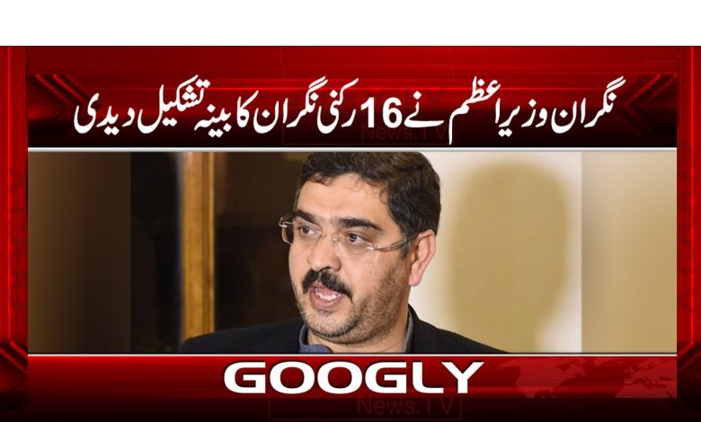 16 Member Caretaker Prime Minister