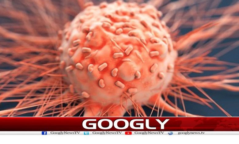 Healthy Heart And Lungs News Urdu