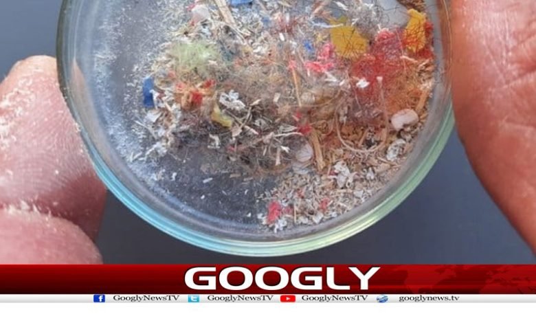 Plastic Particles Enter The Heart News