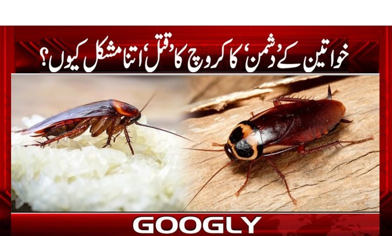 Flexible Red Bag Enemies of Woman News