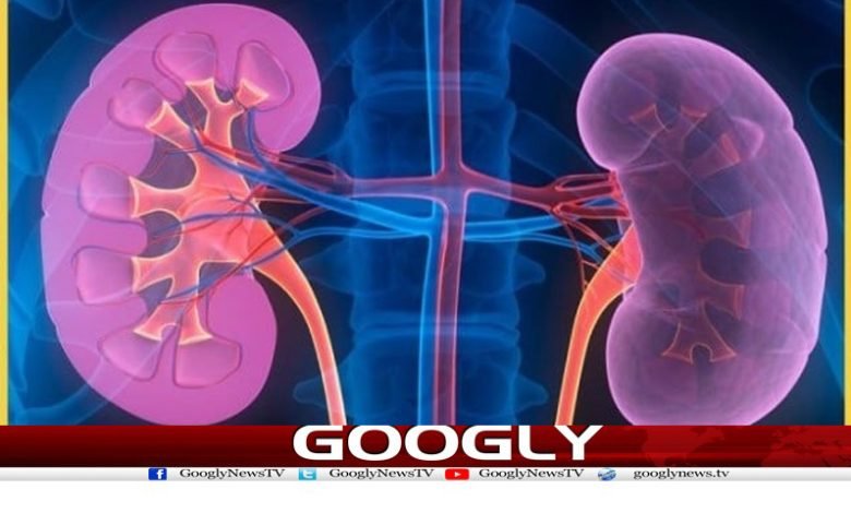 Kidney Failure in Diabetes News Urdu