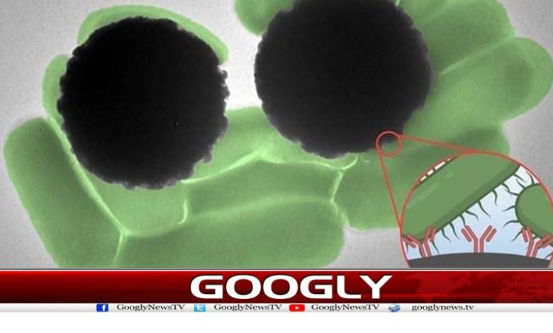 Magnetic Beads Identifying Bacteria