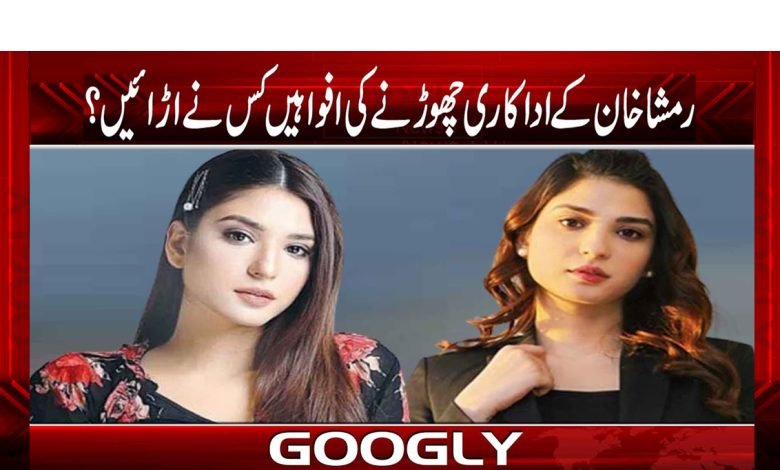 Ramsha Khan Quitting Acting as False