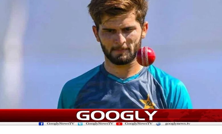 World Cup Team Perform News Urdu