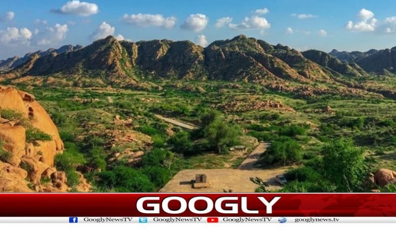 Investment Local Economy News Urduq