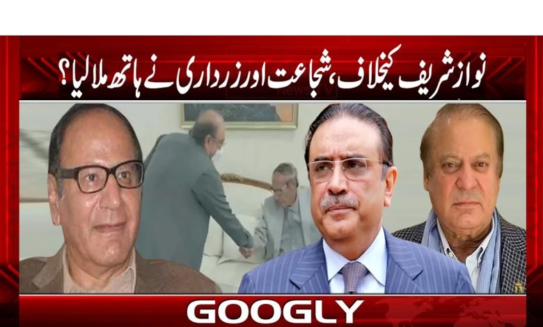 Zardari,Shujaat discuss political Urdu