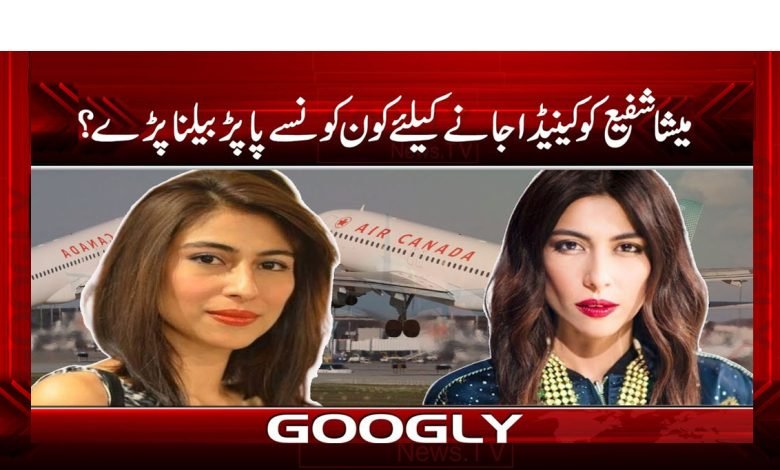 اداکارہ میشا شفیع کو کینیڈا جانے پر کیا پاپڑ بیلنا پڑے؟ 1 Meesshaa Shafi