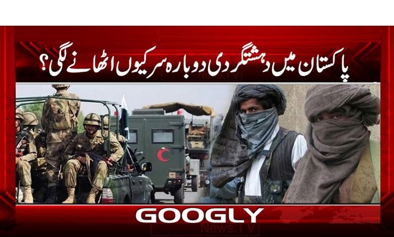 Terrorism Again