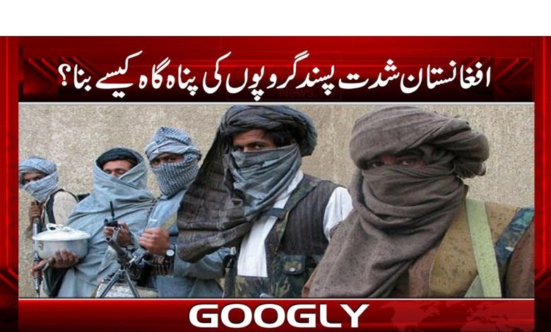 Afghanistan finding Terrorist in Urdu