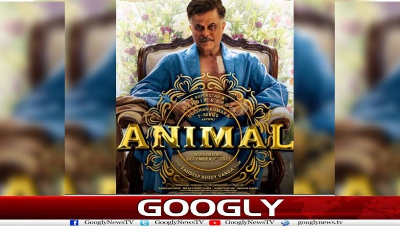 animal