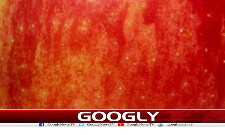 Small Marks on Apples News Urdu