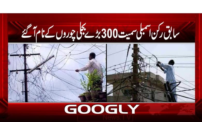 Names of 300 Big Thieves Electricity