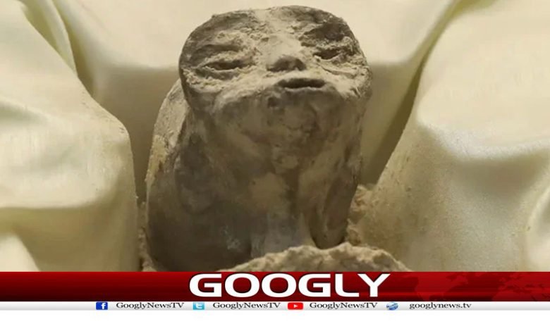 Mexico Remains of Two Alien News