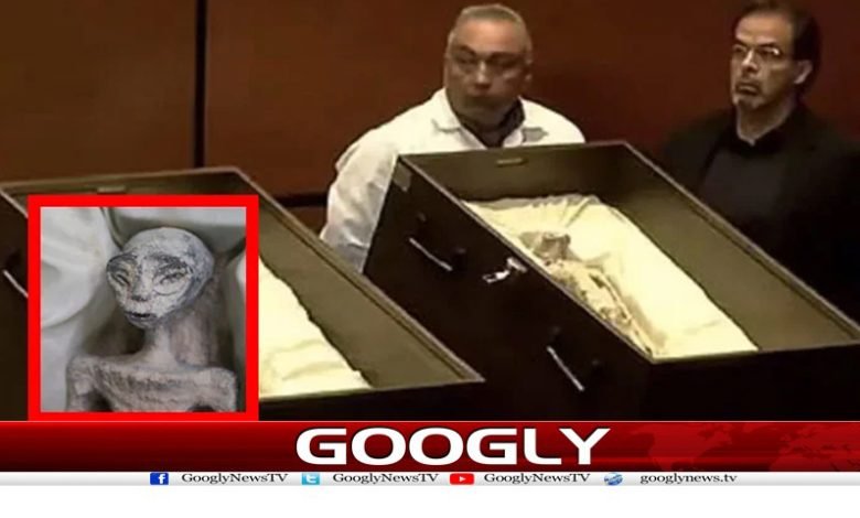 Mexico Important Revelations News