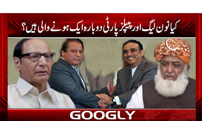 کیا نون لیگ اور پیپلزپارٹی دوبارہ ایک ہونے والی ہیں؟ 1 ppp 2