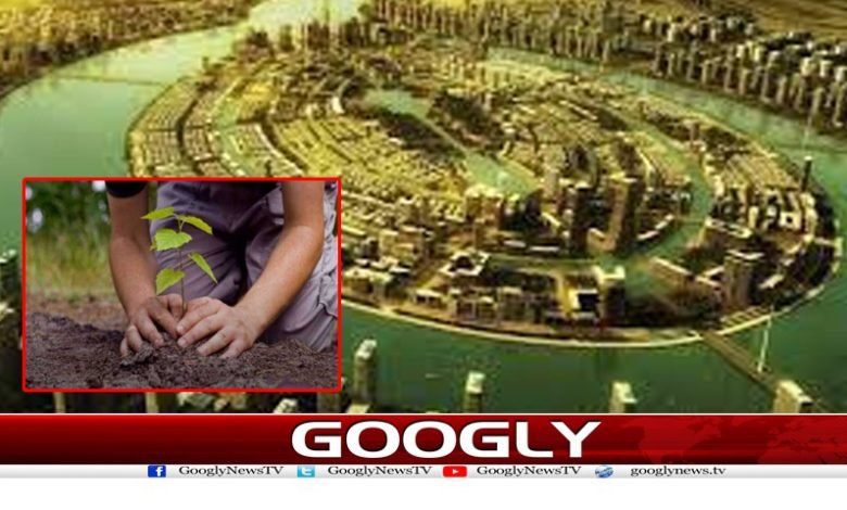 ریورفرنٹ راوی اربن ڈویلپمنٹ اتھارٹی کی شجرکاری مہم کاآغاز 1 roda