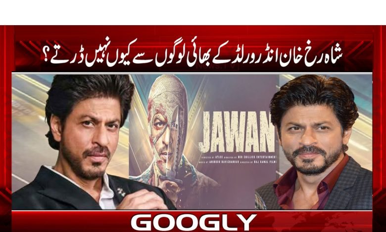 Shahrukh Khan not Afraid News Urdu