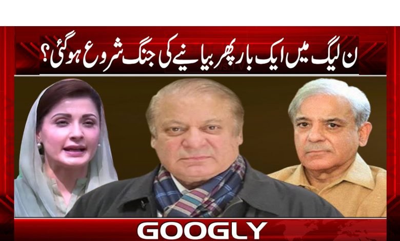 ن لیگ میں ایک بار پھر بیانیے کی جنگ شروع ہو گئی؟ 1 shbaz 5