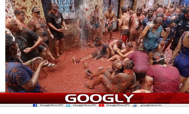 Spain Tomatoes Game News Urdu