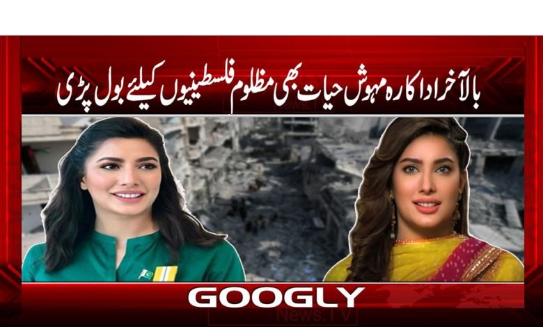 Mehwish Hayat Latest News Urdu
